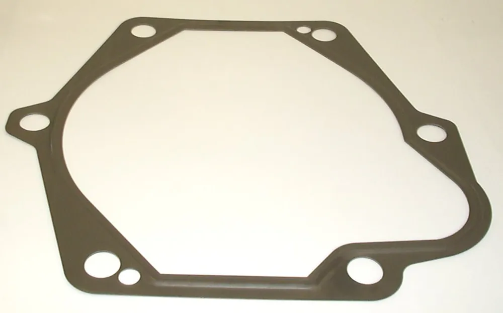 PVB 20/29 GASKET 245976N Popularny