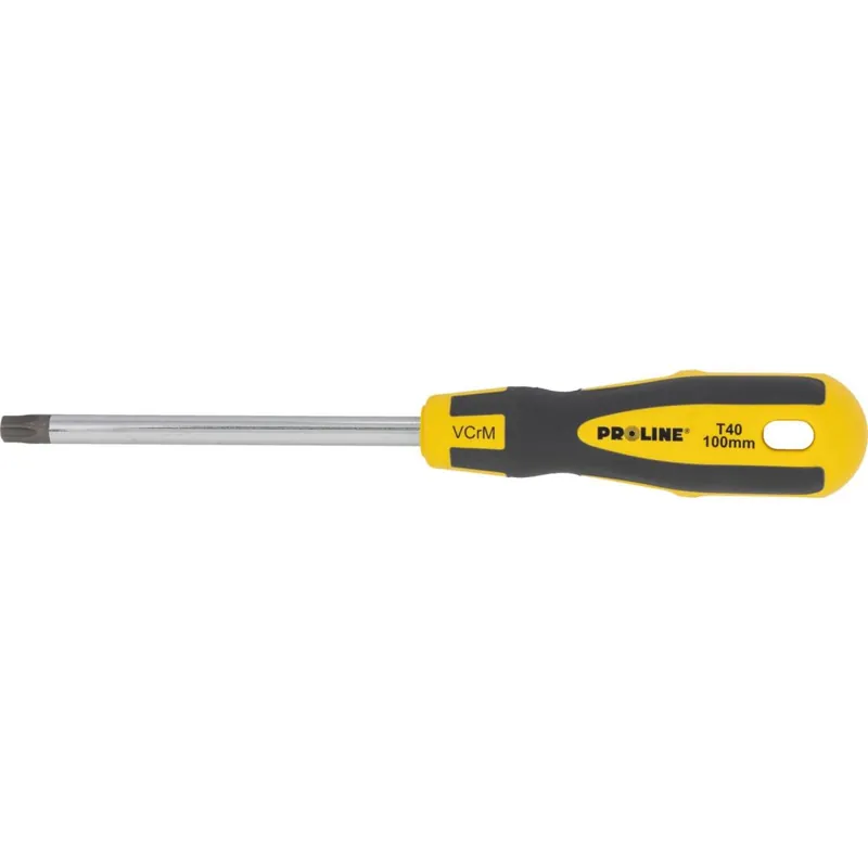 Tani WKRĘTAK TORX Z OTWOREM T40*100MM PROF. 'SOFT TOUCH' PROLINE